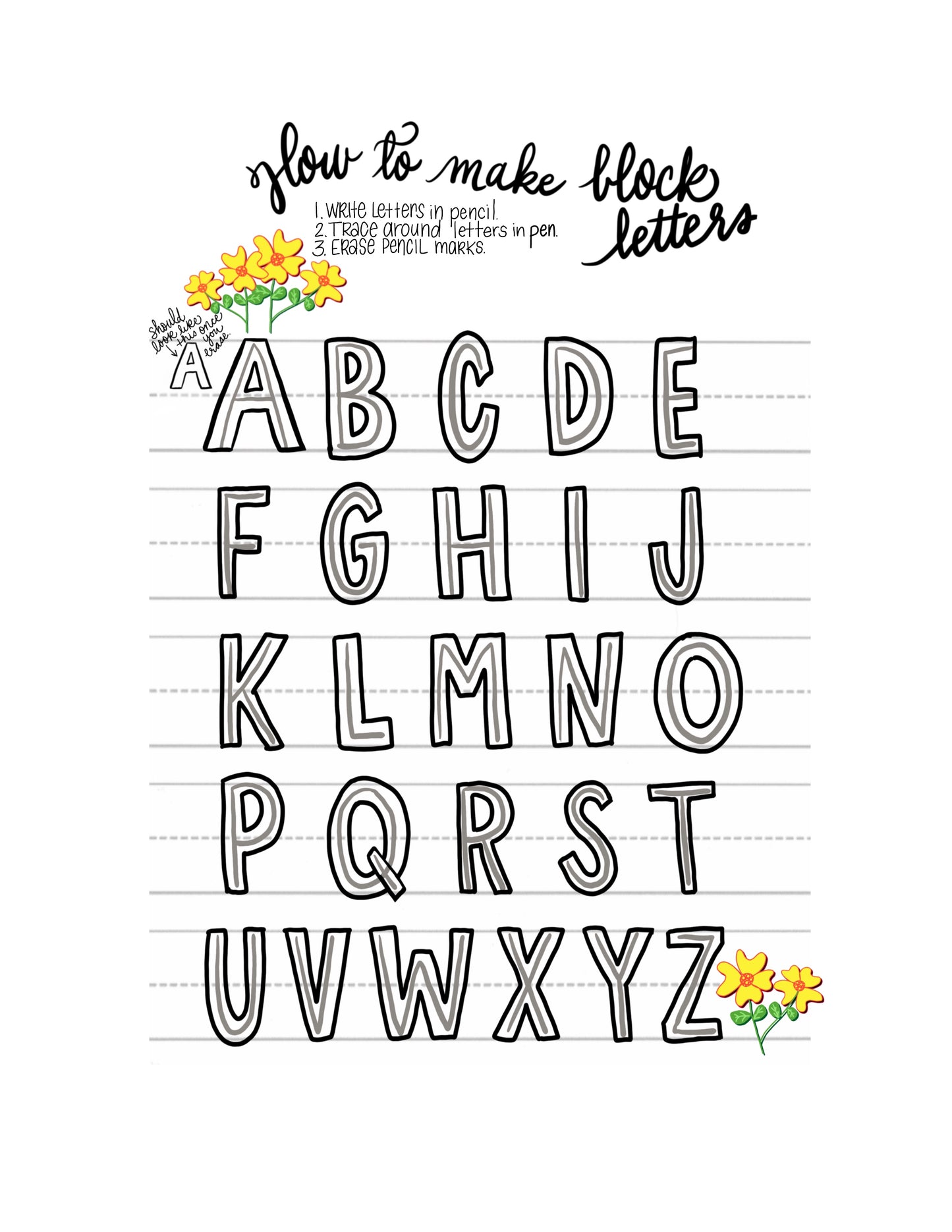 Hand Lettering and Doodle Workbook Bundle with a free Brush Pen
