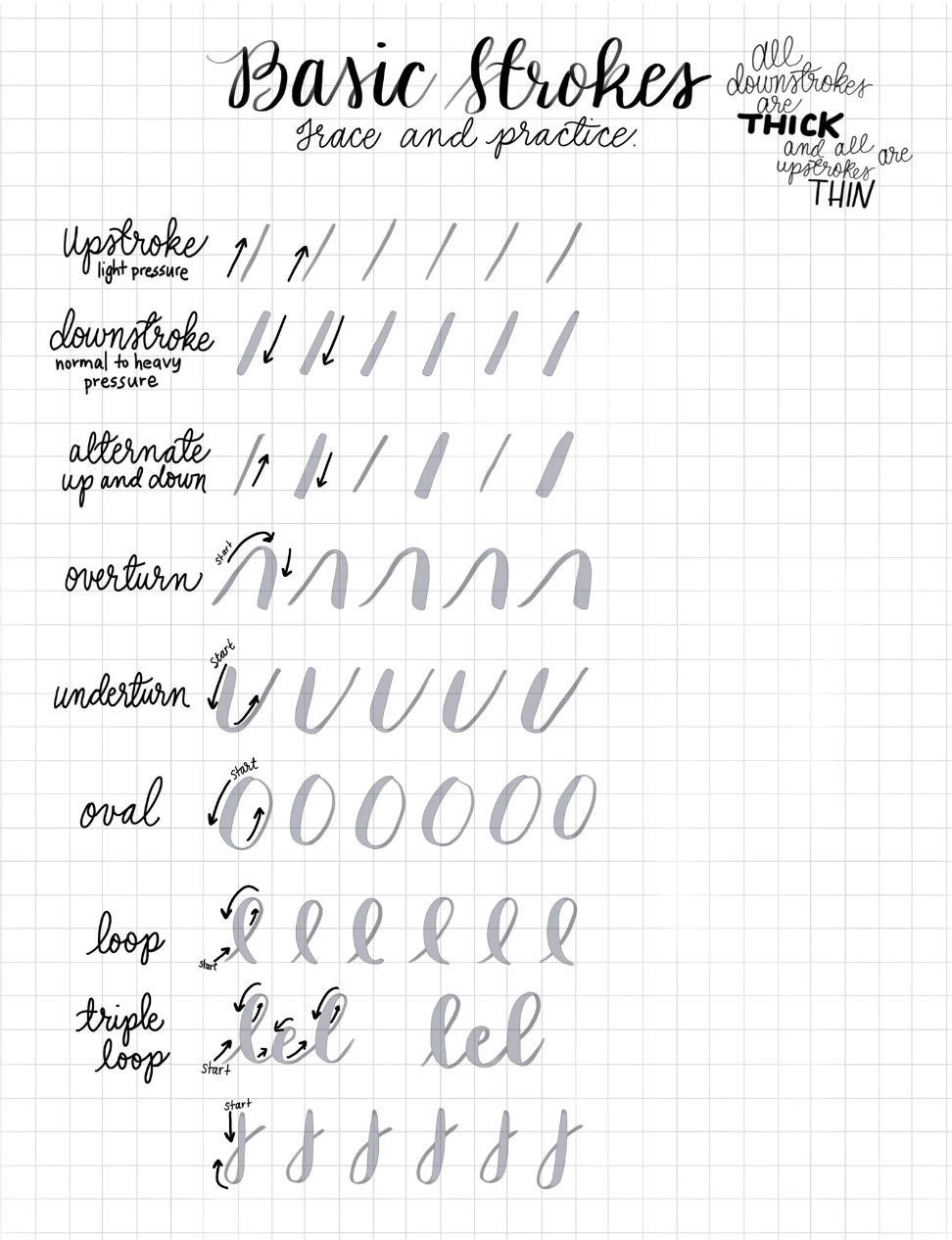 Hand Lettering and Doodle Workbook Bundle with a free Brush Pen